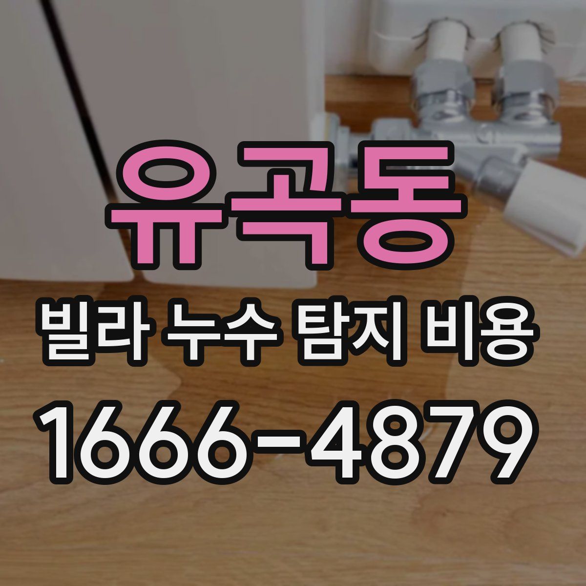 유곡동 빌라 누수 탐지 비용