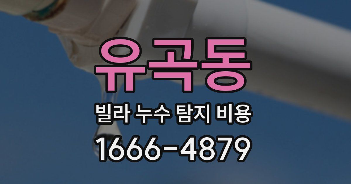 유곡동 빌라 누수 탐지 비용
