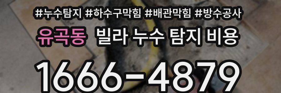 유곡동 빌라 누수 탐지 비용