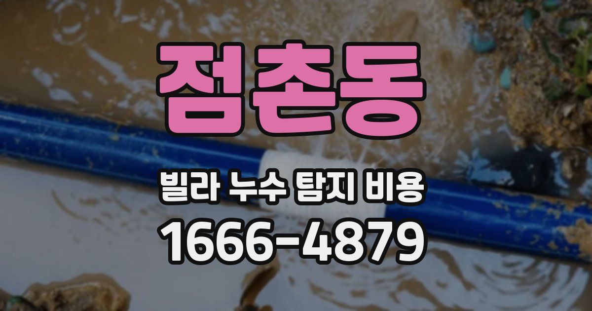 점촌동 빌라 누수 탐지 비용