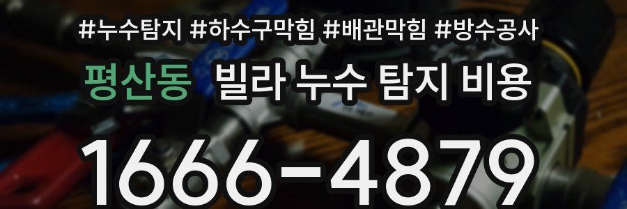 평산동 빌라 누수 탐지 비용