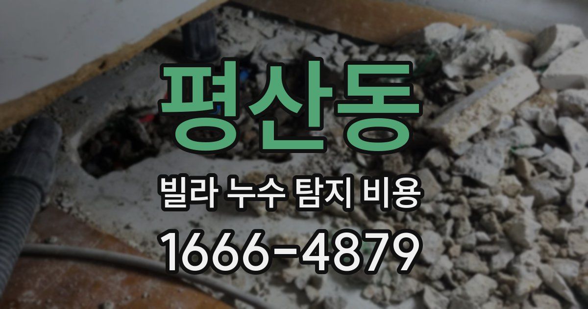 평산동 빌라 누수 탐지 비용
