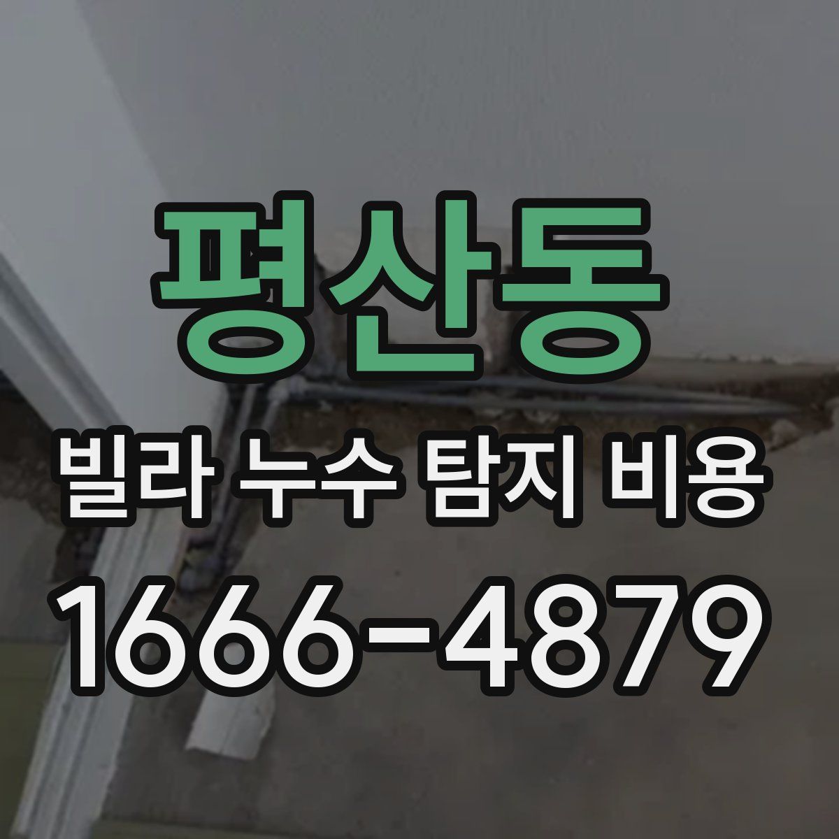 평산동 빌라 누수 탐지 비용