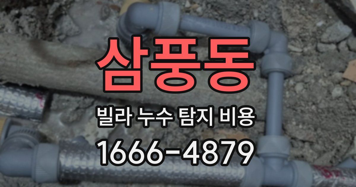 삼풍동 빌라 누수 탐지 비용