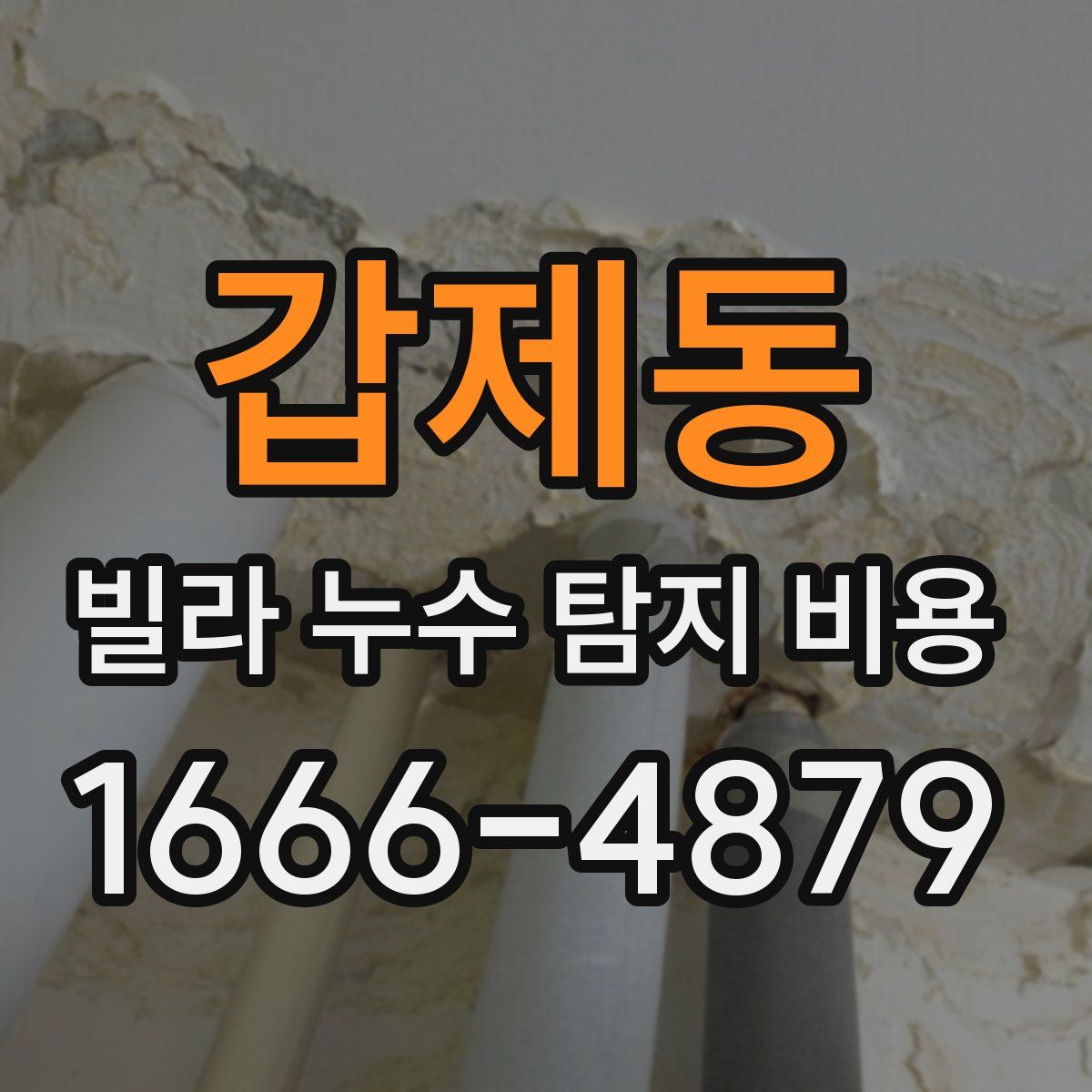 갑제동 빌라 누수 탐지 비용