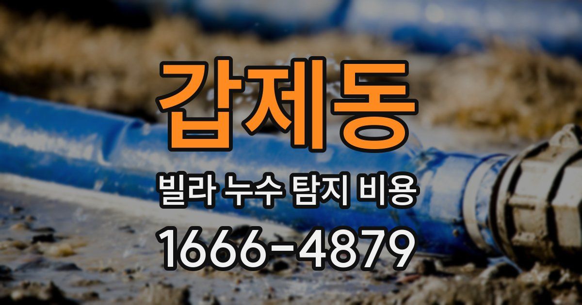 갑제동 빌라 누수 탐지 비용