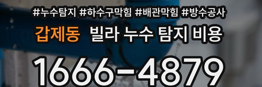갑제동 빌라 누수 탐지 비용