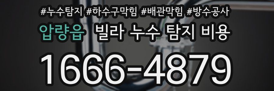 압량읍 빌라 누수 탐지 비용