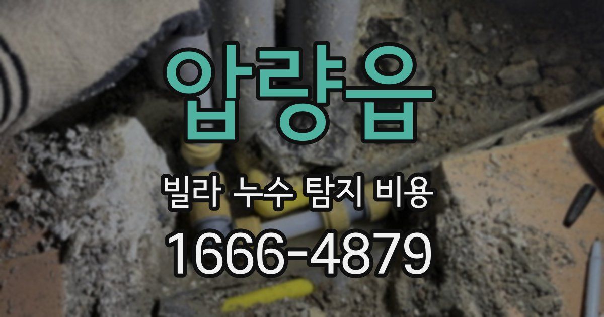 압량읍 빌라 누수 탐지 비용