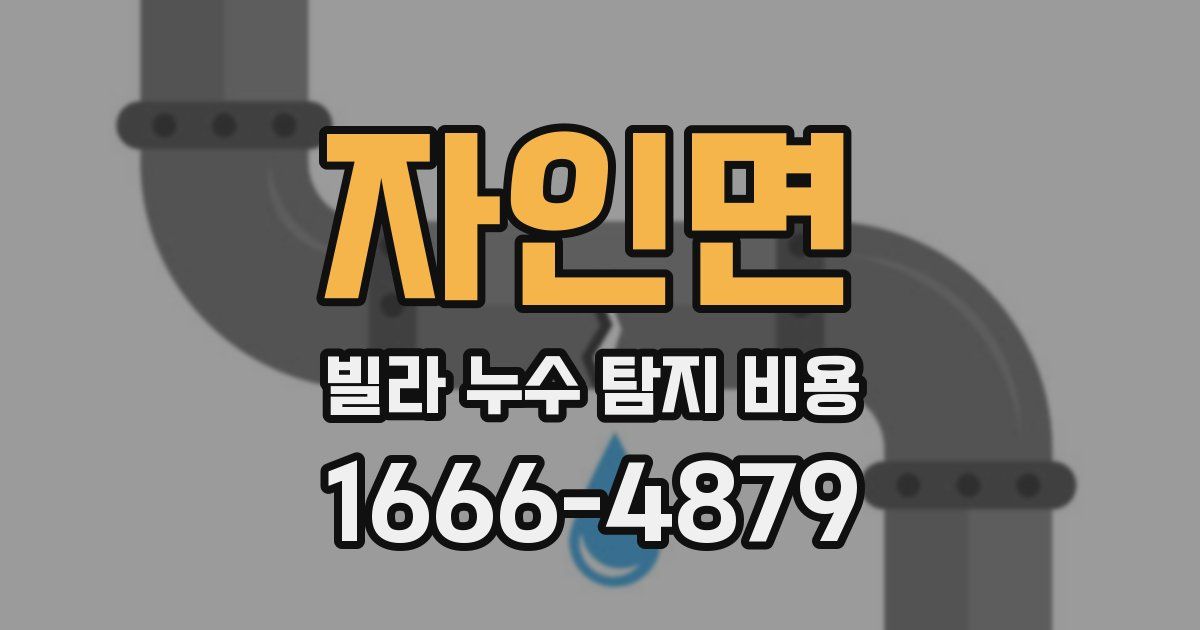 자인면 빌라 누수 탐지 비용