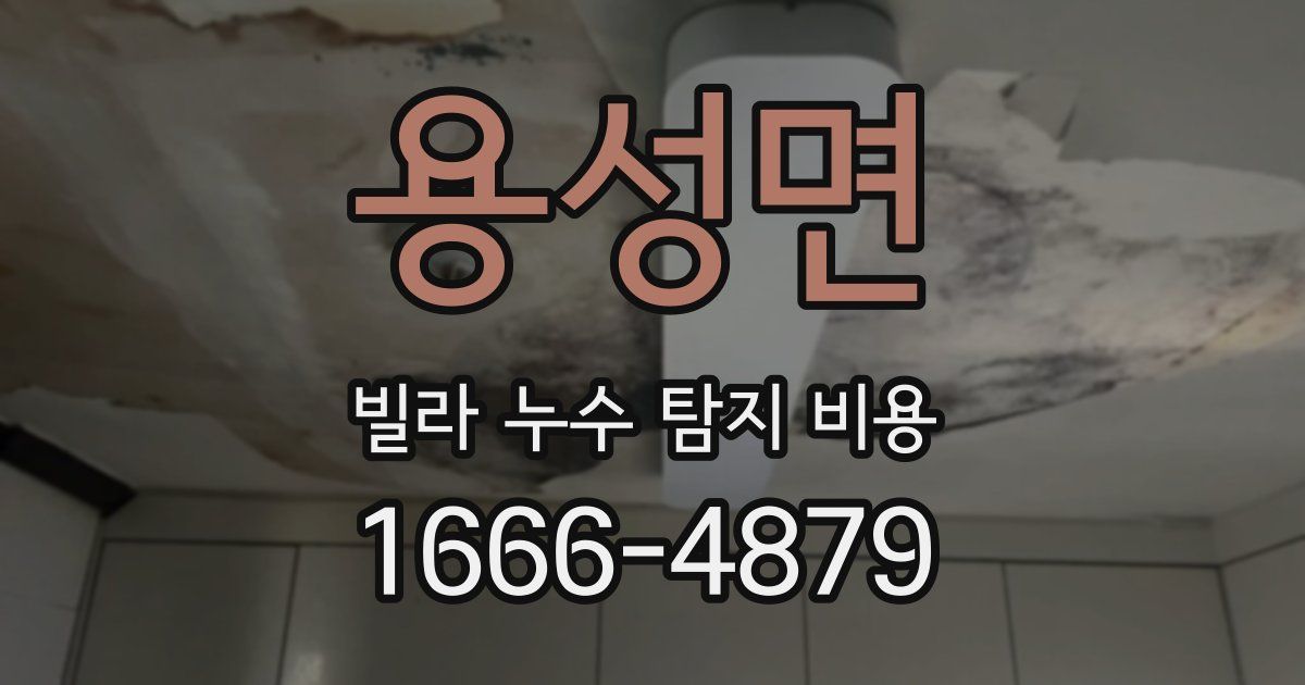 용성면 빌라 누수 탐지 비용