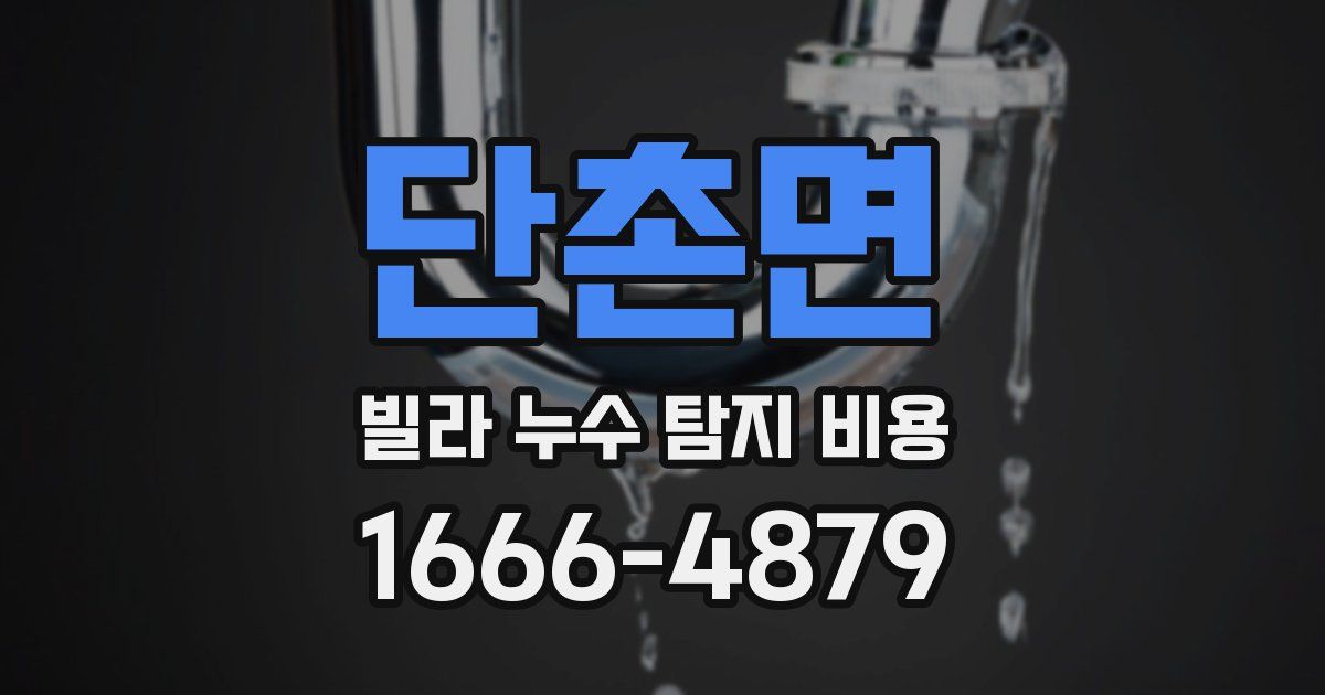 단촌면 빌라 누수 탐지 비용