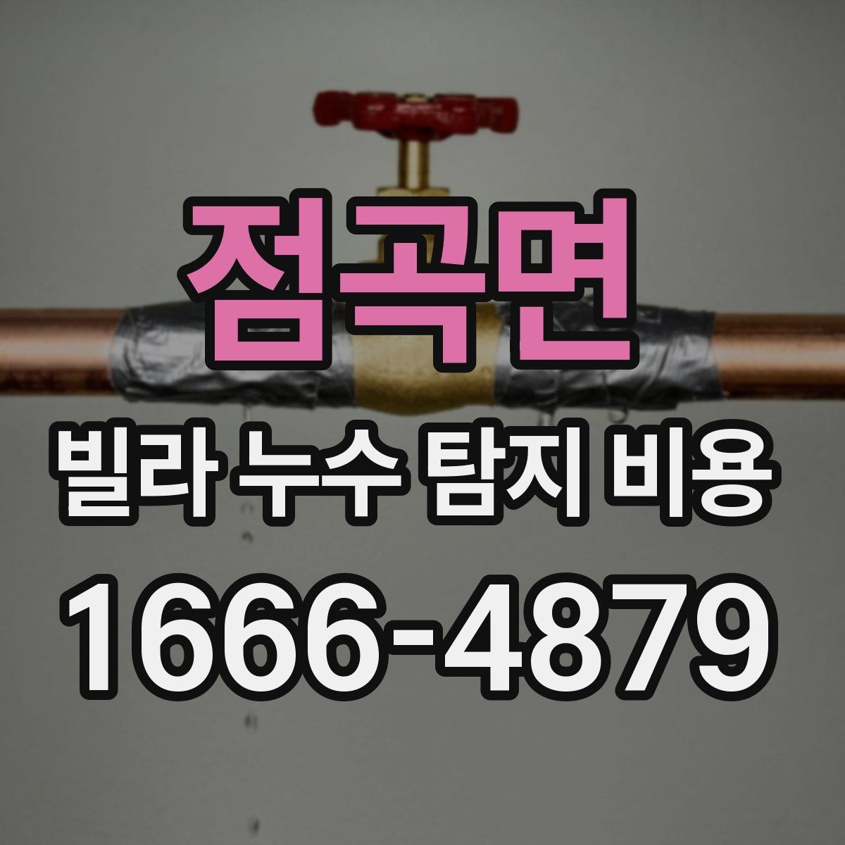 점곡면 빌라 누수 탐지 비용