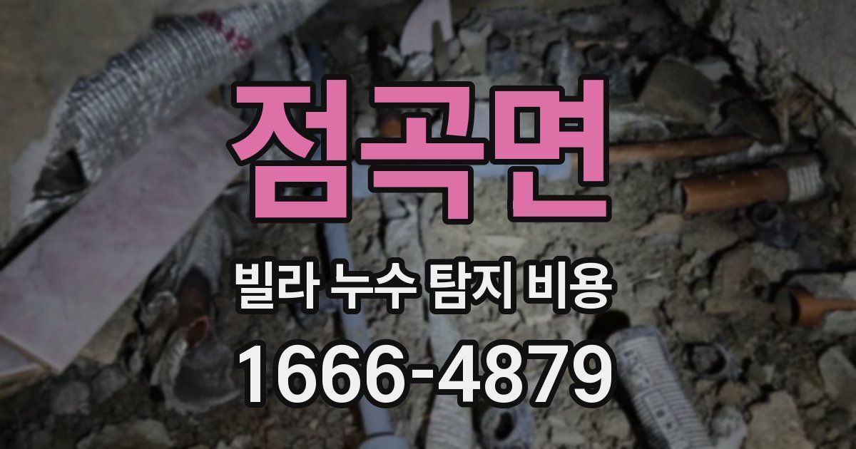 점곡면 빌라 누수 탐지 비용