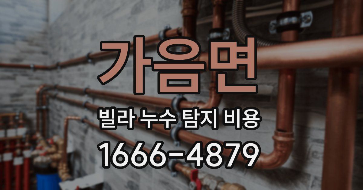 가음면 빌라 누수 탐지 비용