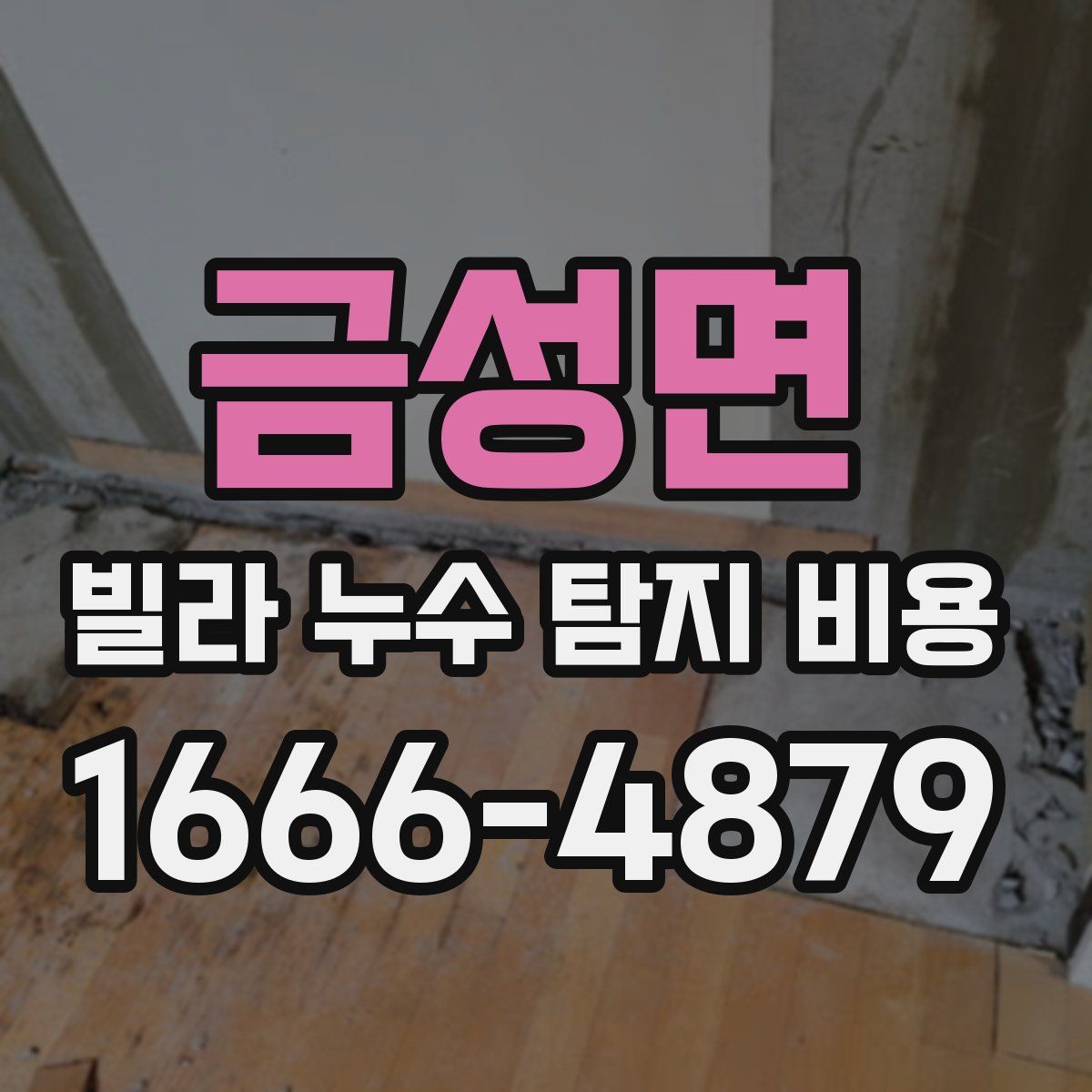 금성면 빌라 누수 탐지 비용