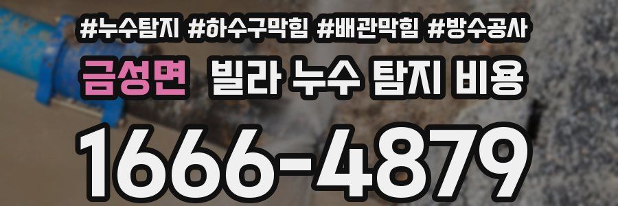 금성면 빌라 누수 탐지 비용