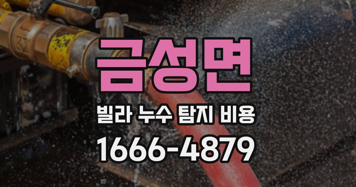 금성면 빌라 누수 탐지 비용