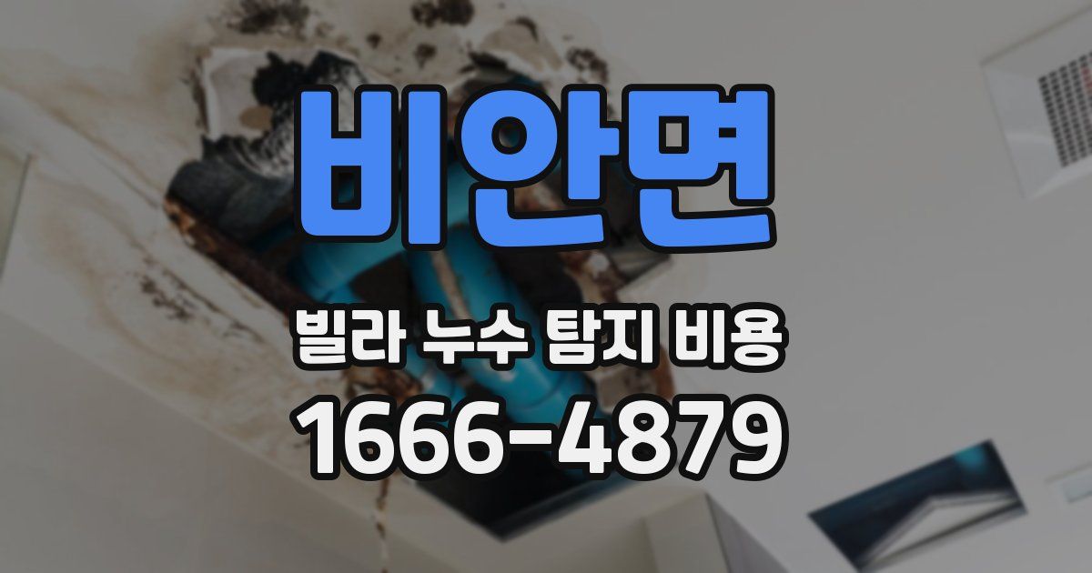 비안면 빌라 누수 탐지 비용