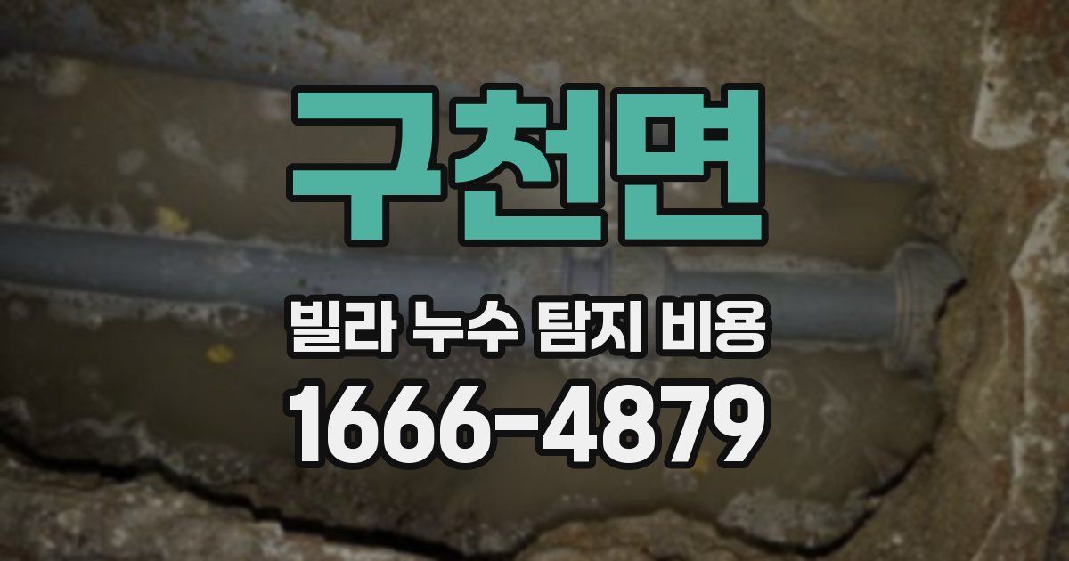 구천면 빌라 누수 탐지 비용