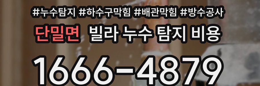 단밀면 빌라 누수 탐지 비용