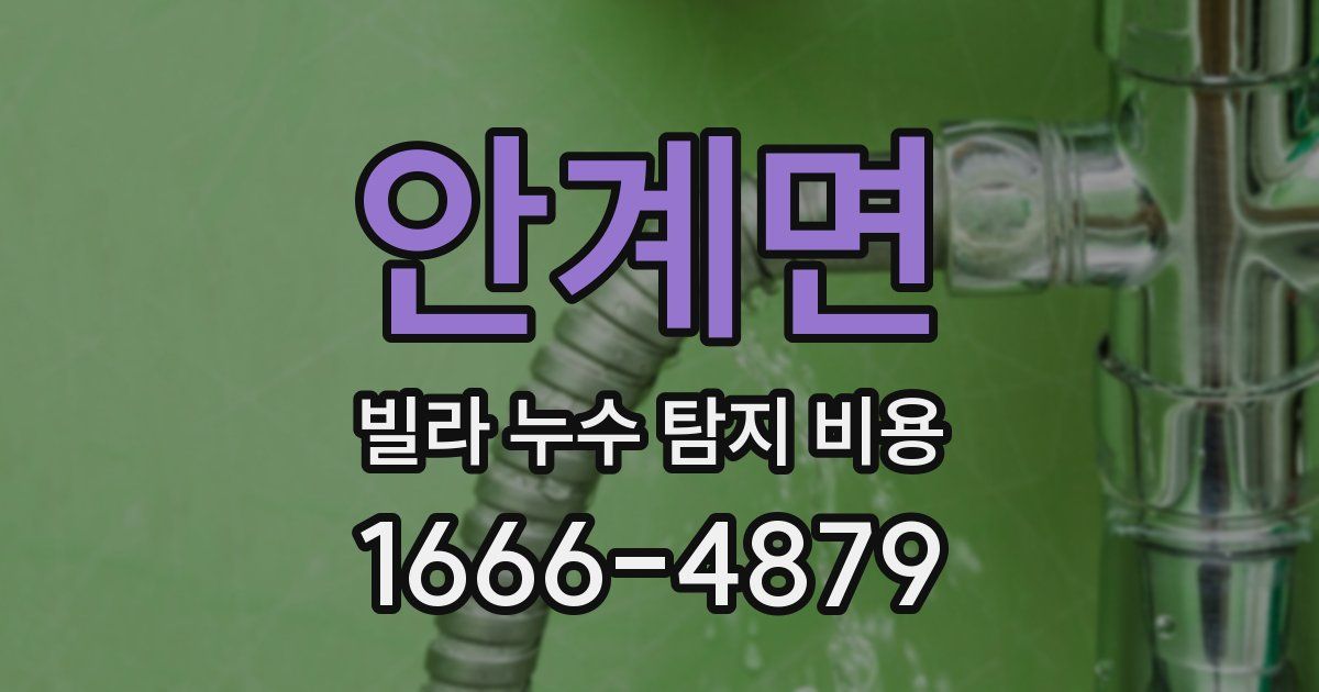 안계면 빌라 누수 탐지 비용