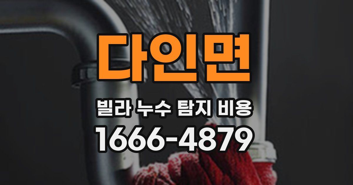다인면 빌라 누수 탐지 비용