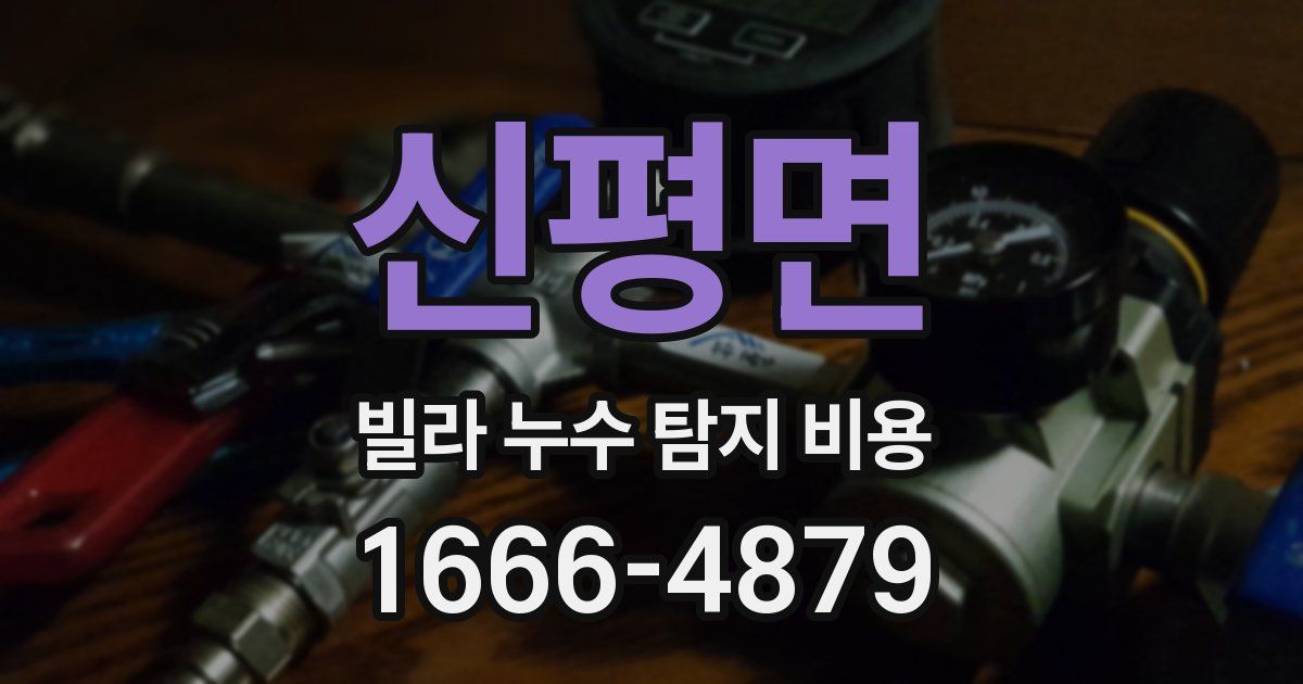 신평면 빌라 누수 탐지 비용