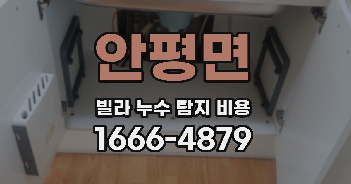 안평면 빌라 누수 탐지 비용