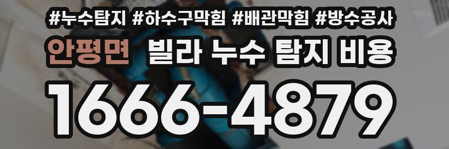 안평면 빌라 누수 탐지 비용