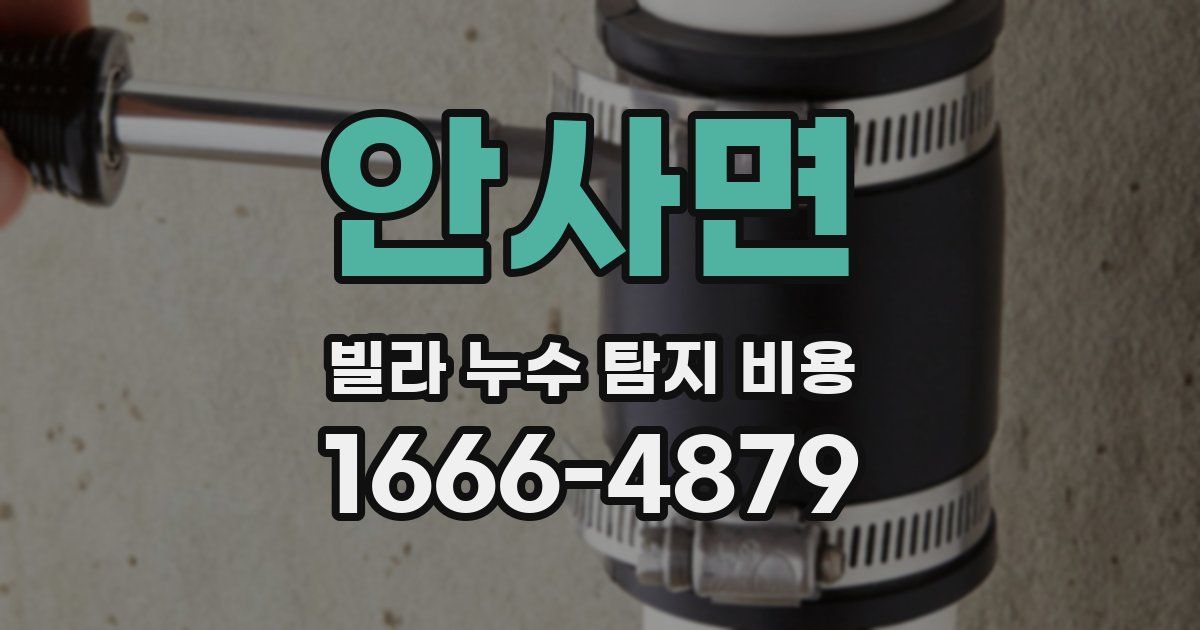 안사면 빌라 누수 탐지 비용