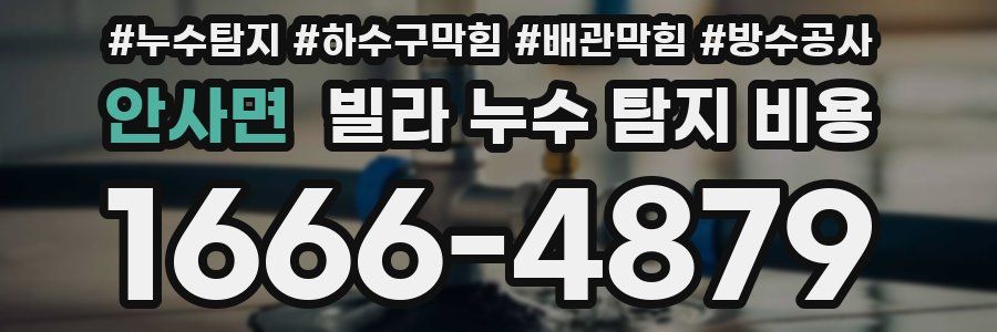 안사면 빌라 누수 탐지 비용