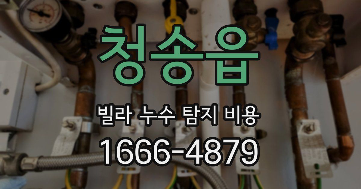 청송읍 빌라 누수 탐지 비용