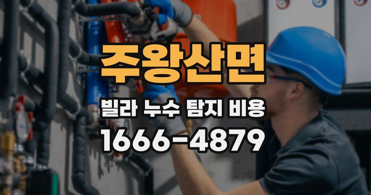 주왕산면 빌라 누수 탐지 비용