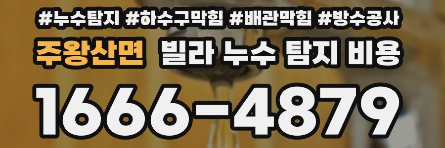 주왕산면 빌라 누수 탐지 비용