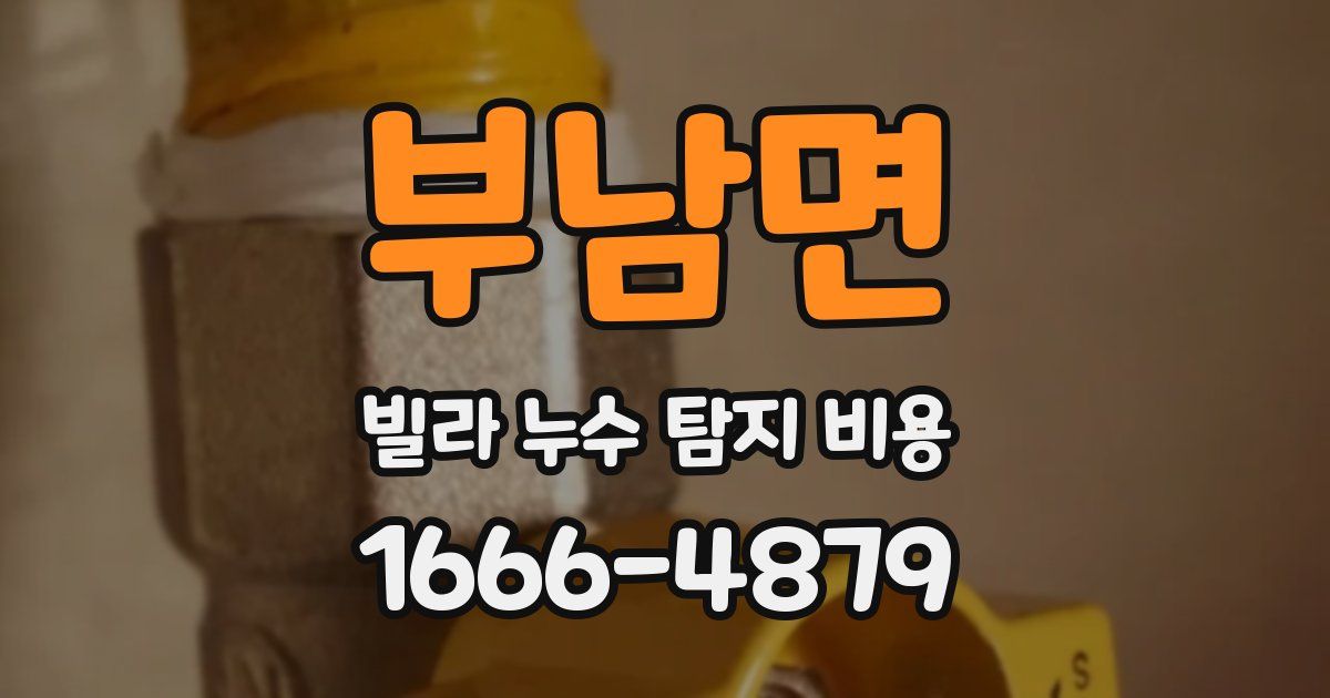 부남면 빌라 누수 탐지 비용