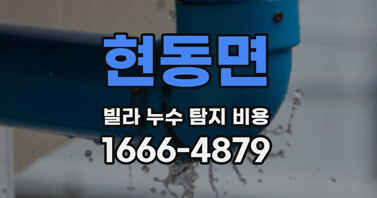 현동면 빌라 누수 탐지 비용