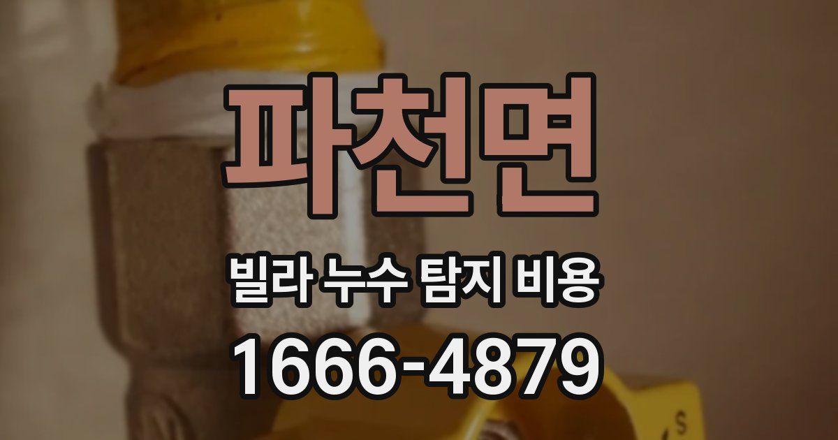 파천면 빌라 누수 탐지 비용