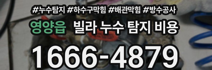 영양읍 빌라 누수 탐지 비용