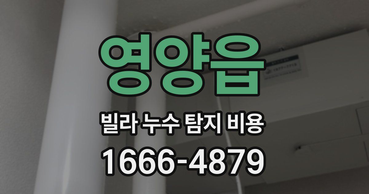 영양읍 빌라 누수 탐지 비용