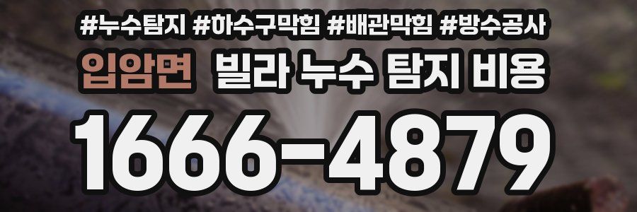 입암면 빌라 누수 탐지 비용
