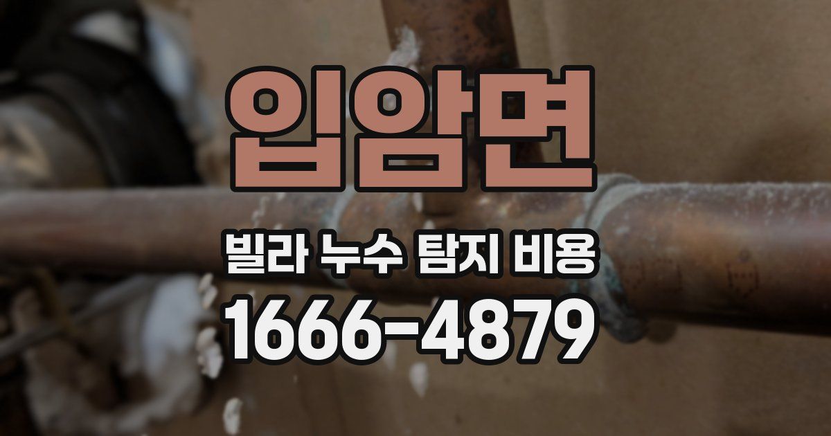 입암면 빌라 누수 탐지 비용