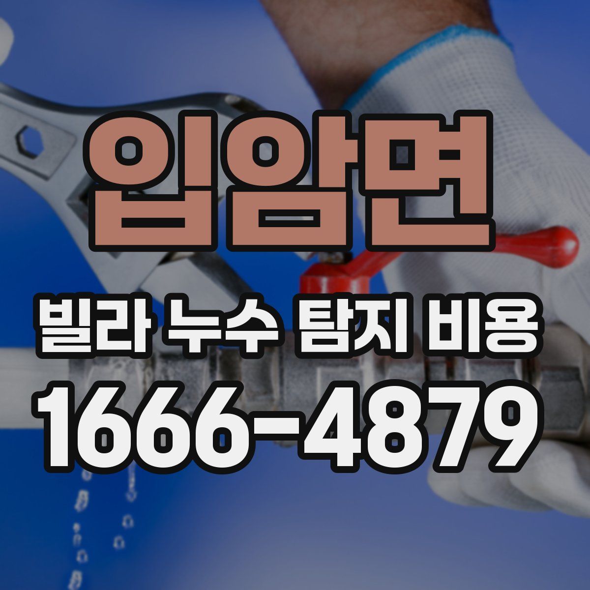 입암면 빌라 누수 탐지 비용