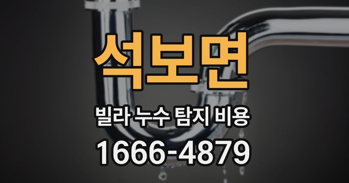 석보면 빌라 누수 탐지 비용
