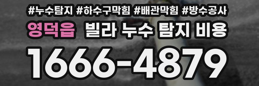 영덕읍 빌라 누수 탐지 비용