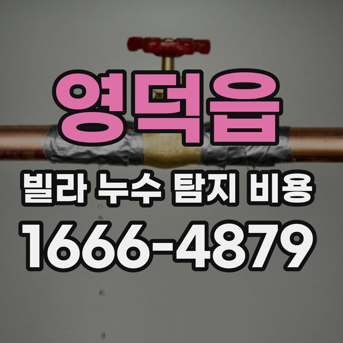 영덕읍 빌라 누수 탐지 비용
