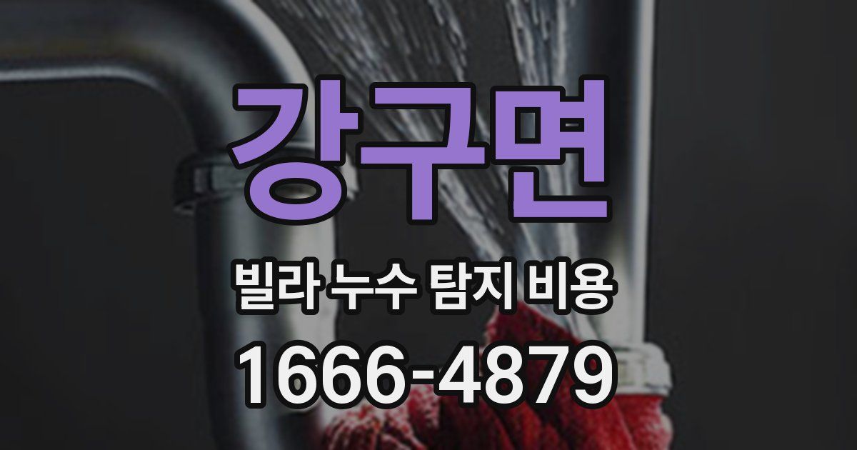 강구면 빌라 누수 탐지 비용