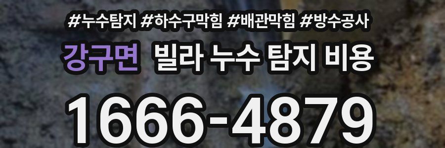 강구면 빌라 누수 탐지 비용