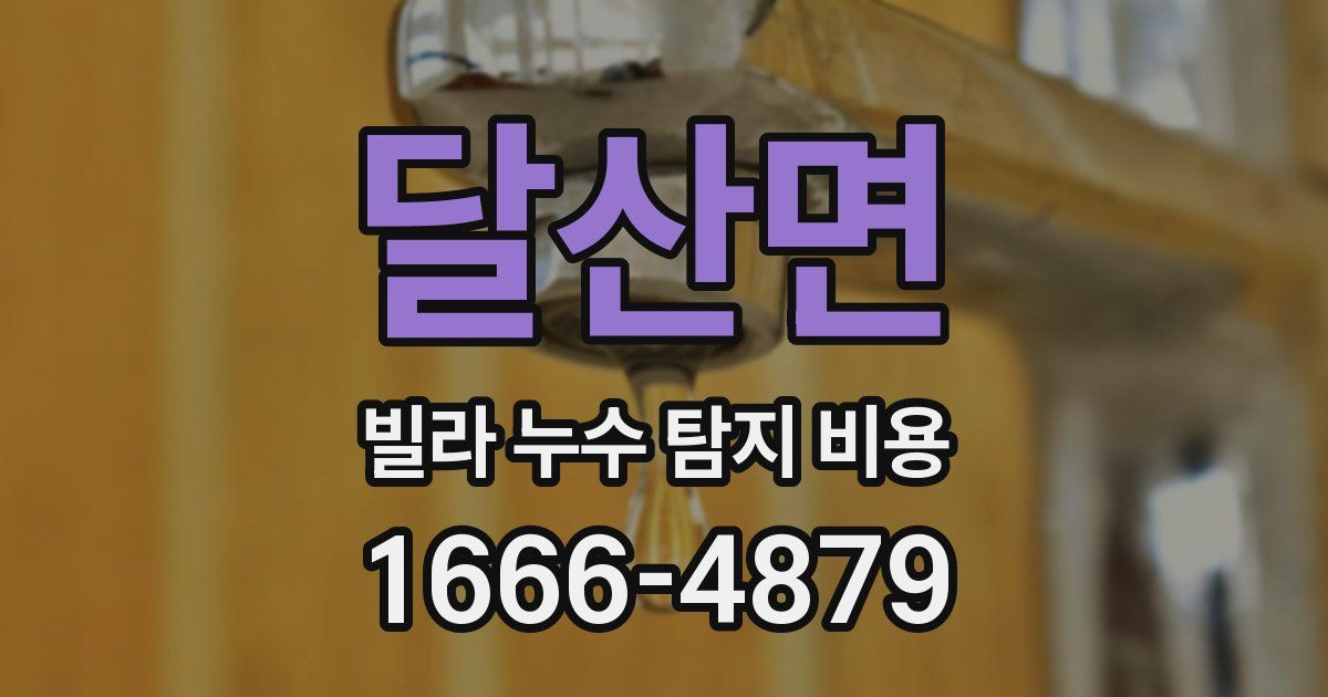 달산면 빌라 누수 탐지 비용