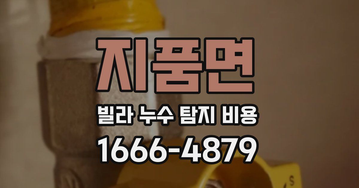 지품면 빌라 누수 탐지 비용